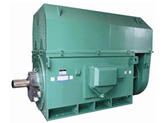YR5602-8Y系列6KV高压电机